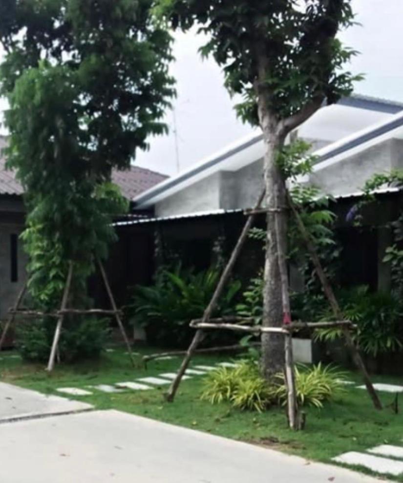 บ้านพักบุหงา199 อ สรรพยา Sapphaya Extérieur photo